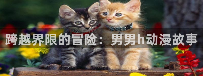 动漫动漫之家