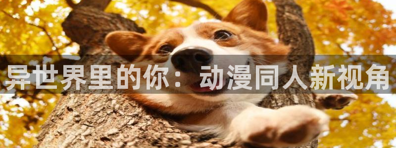 178动漫之家