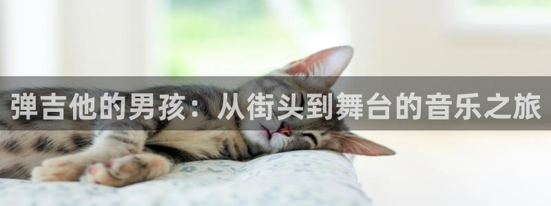 动漫之家漫画版