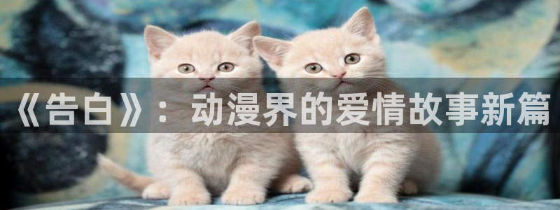 动漫之家网