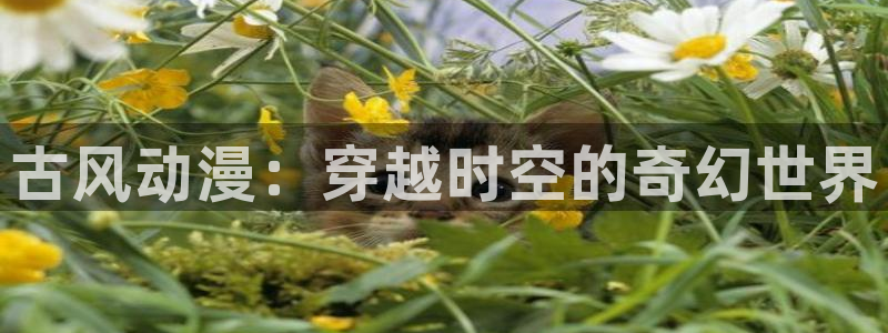 色动漫之家