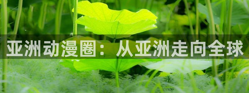 动漫之家官网登录入口