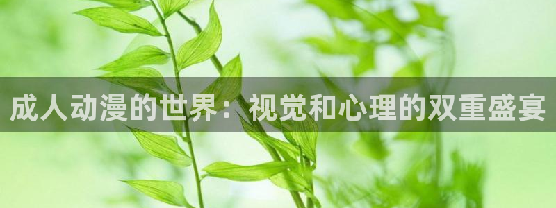 动漫之家日漫