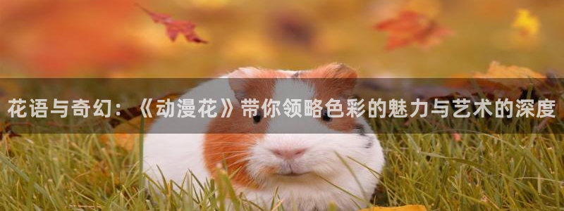 晨曦公主动漫之家