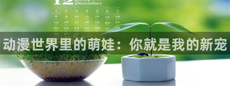 动漫之家官网人口