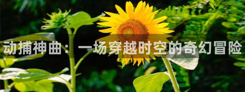 动漫之家下载地址