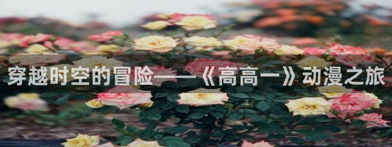 动漫之家3.8.2