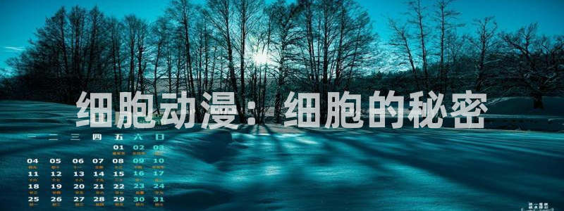 动漫之家在线