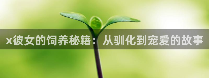 碧蓝之海动漫之家