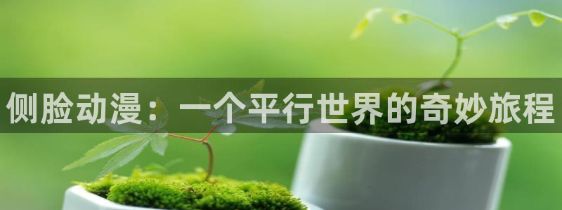 其他动漫之家