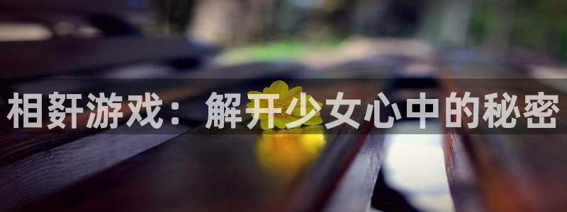 动漫之家轻小说网
