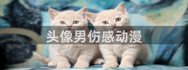 史上最强弟子兼一漫画动漫之家