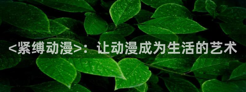 动漫之家在哪下