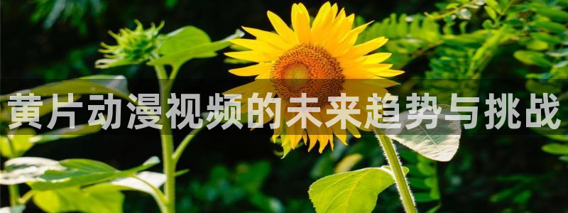 动漫之家在线免费观看