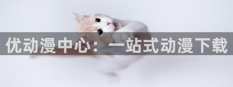 艳母动漫之家
