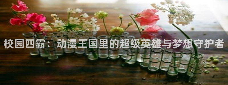 动漫之家老版本