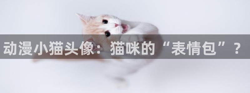 动漫之家网站官网免费