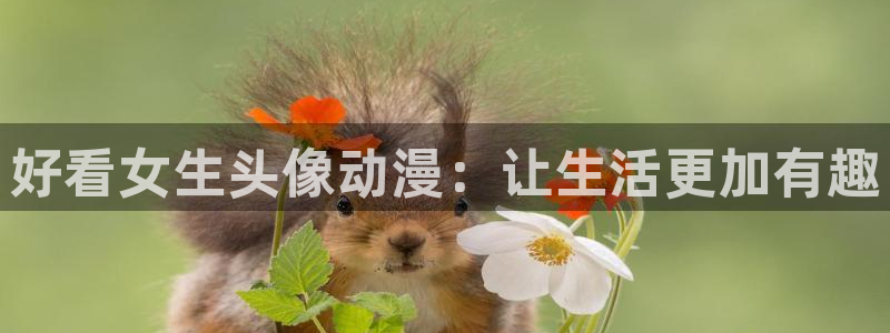 178动漫之家官网