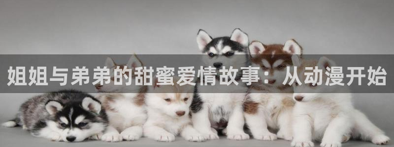动漫之家下：姐姐与弟弟的甜蜜爱情故事：从动漫开始