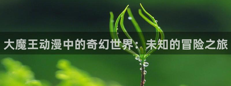 其他动漫之家动漫：大魔王动漫中的奇幻世界：未知的冒险之旅