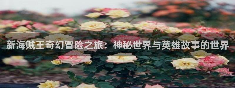 动漫之家动漫下载：新海贼王奇幻冒险之旅：神秘世界与英雄故事的世界