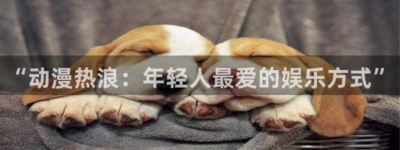 动漫之家不能看了：“动漫热浪：年轻人最爱的娱乐方式”