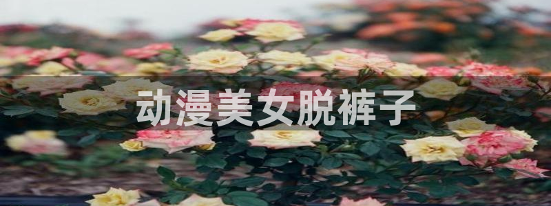 动漫之家里世界：动漫美女脱裤子
