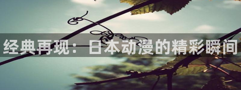 动漫之家怎么解除屏蔽：经典再现：日本动漫的精彩瞬间