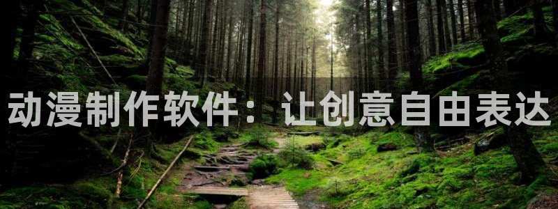 漫动漫之家：动漫制作软件：让创意自由表达