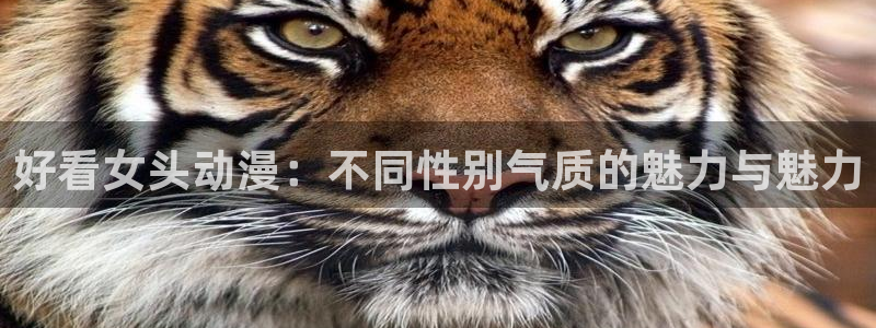 动漫之家pc：好看女头动漫：不同性别气质的魅力与魅力