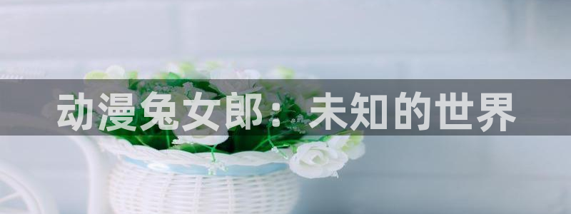 动漫之家社区版最新：动漫兔女郎：未知的世界