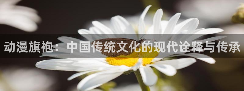 58动漫之家：动漫旗袍：中国传统文化的现代诠释与传承