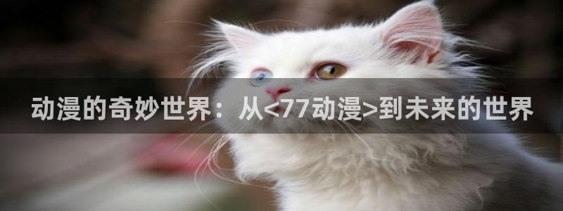 动漫之家app看不了漫画：动漫的奇妙世界：从<77动漫>到未来的世界