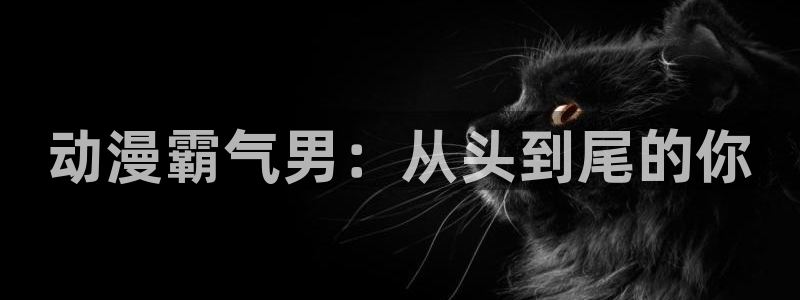 动漫之家,网站：动漫霸气男：从头到尾的你
