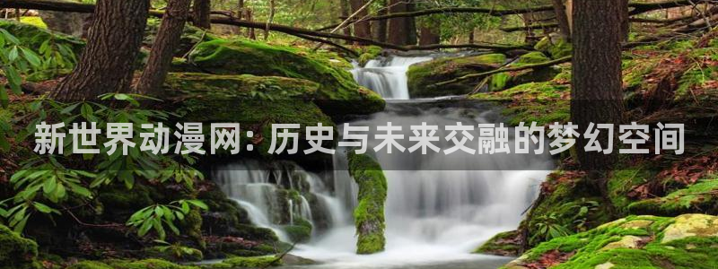 新动漫之家：新世界动漫网: 历史与未来交融的梦幻空间