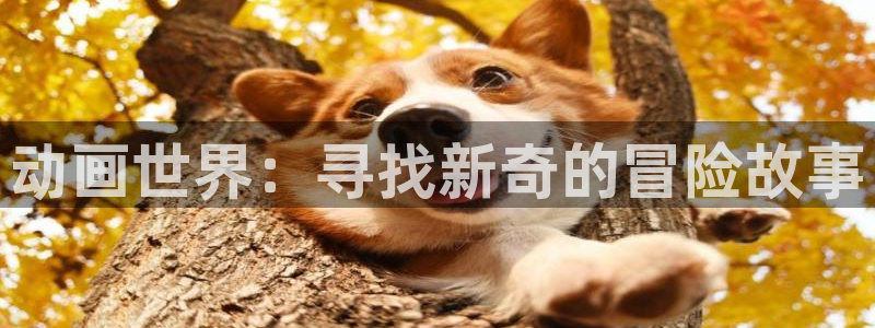 动漫之家pc官网：动画世界：寻找新奇的冒险故事