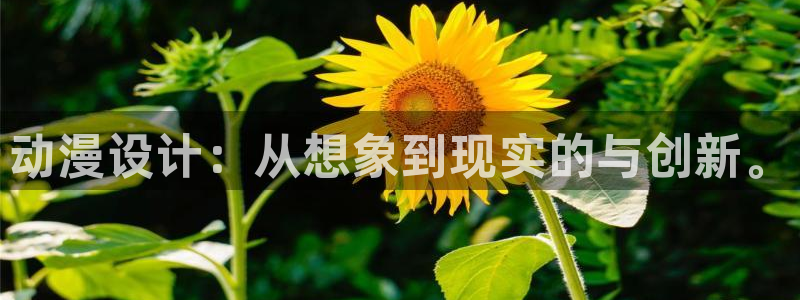 重生之道漫画动漫之家：动漫设计：从想象到现实的与创新。