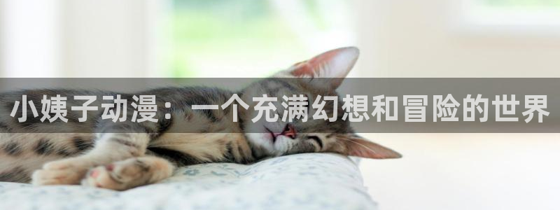 动漫之家动漫下载：小姨子动漫：一个充满幻想和冒险的世界